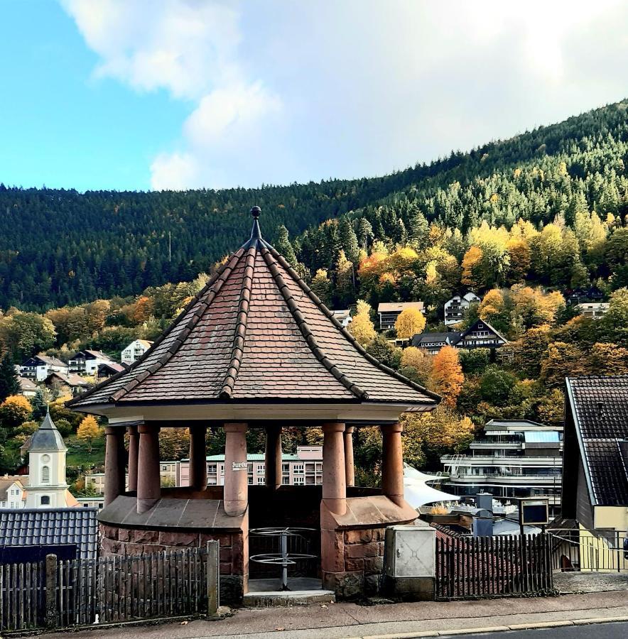 Fewo Sehl Apartment Bad Wildbad Exterior photo