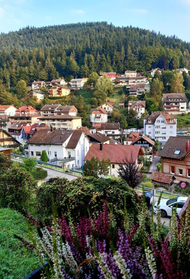 Fewo Sehl Apartment Bad Wildbad Exterior photo