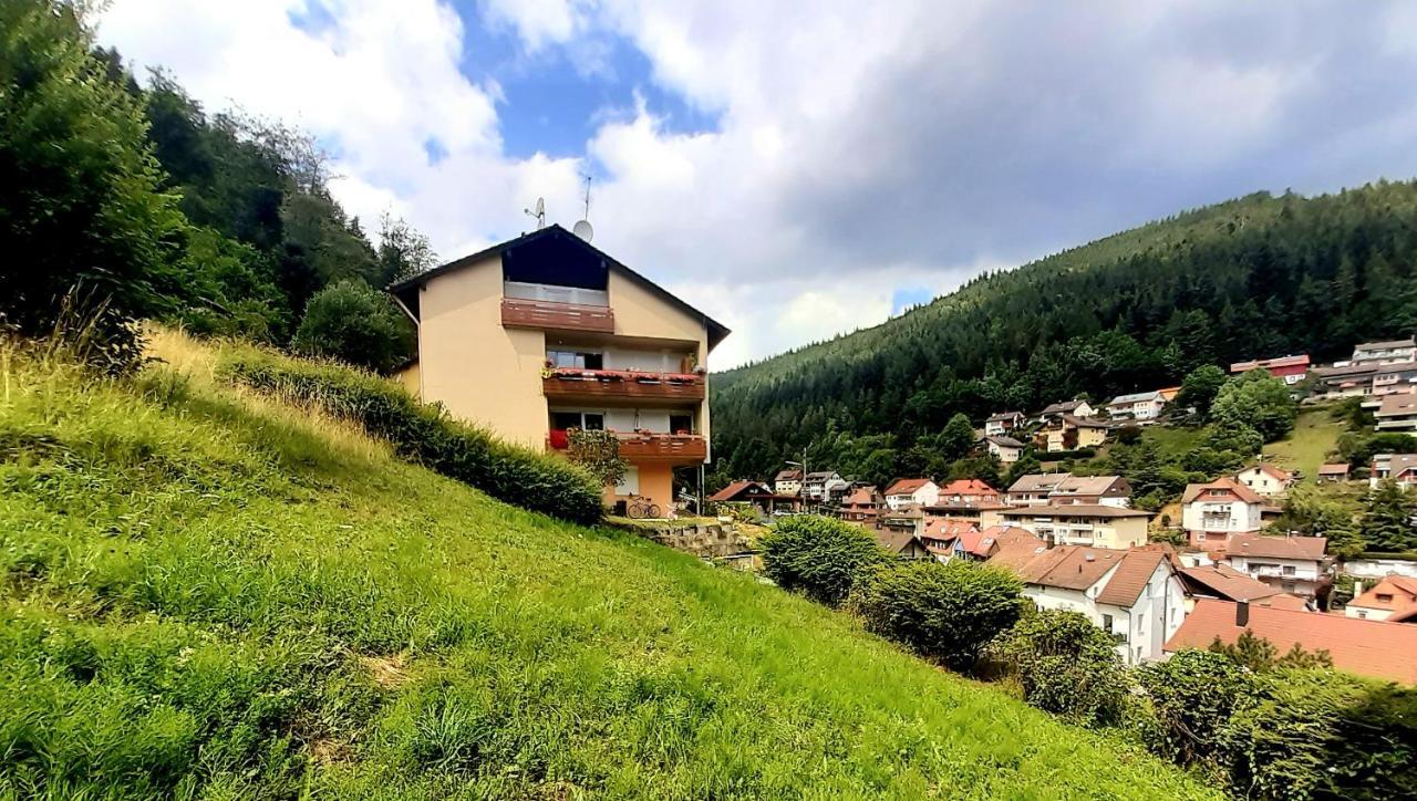 Fewo Sehl Apartment Bad Wildbad Exterior photo